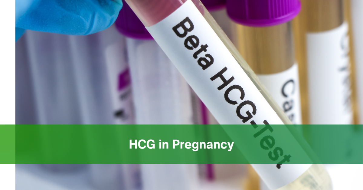 hCG in Pregnancy